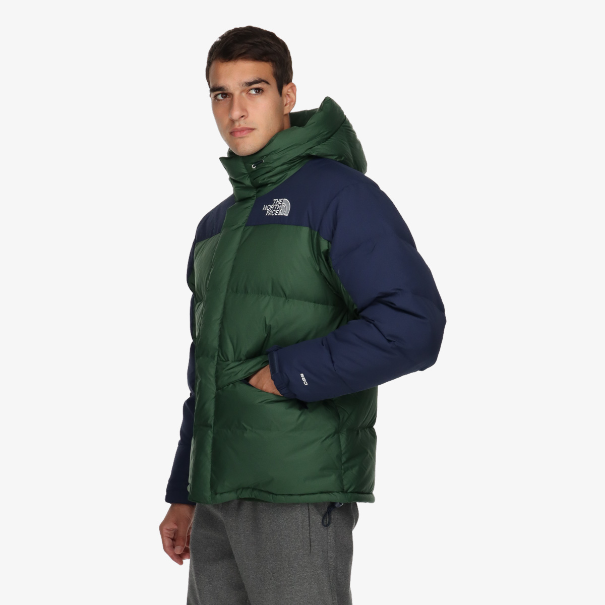 The North Face Men's Hmlyn Down Parka | Sport Vision – Prodej sportovní  obuvi a oblečení