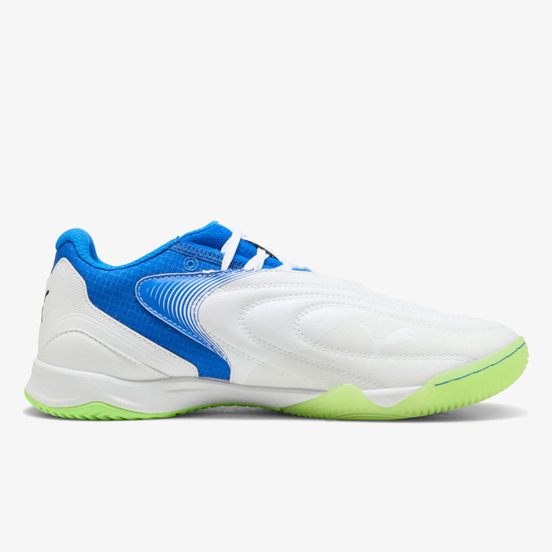 Puma Ibero V 