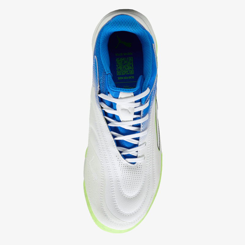 Puma Ibero V 