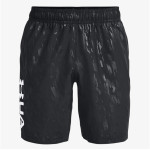 Under Armour UA Woven Emboss Shorts 