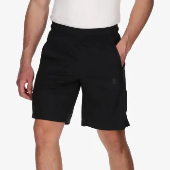 UA BASELINE 10\'\' SHORT