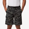 Columbia Silver Ridge™ Printed Cargo Short 