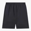 Champion Long 