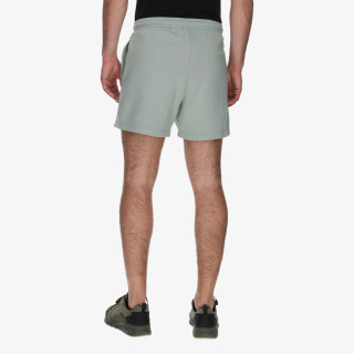 Champion Shorts 