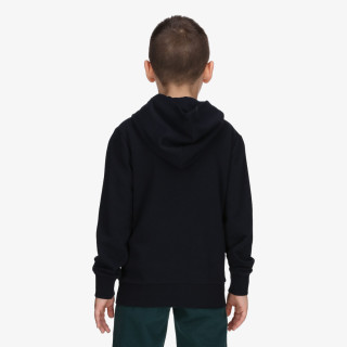 Champion Hooded Sweatshirt 