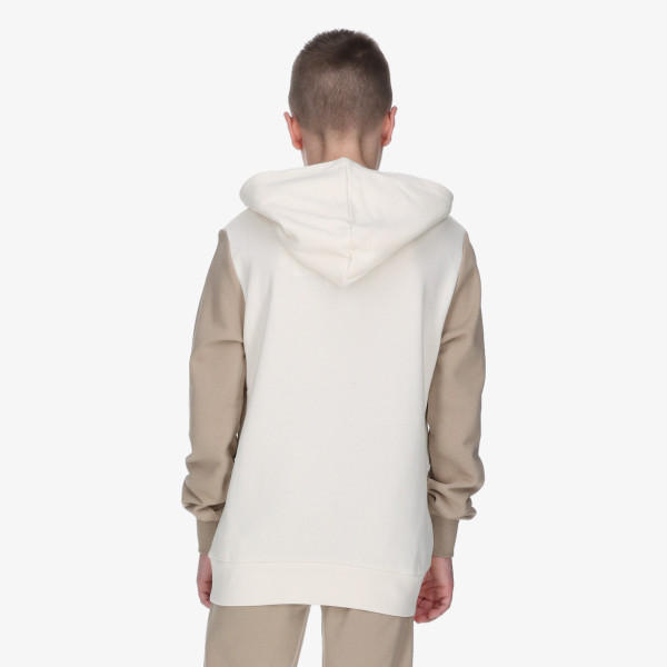 Champion Hooded Sweatshirt 