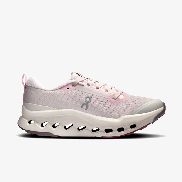 On Cloudsurfer Trail 2 