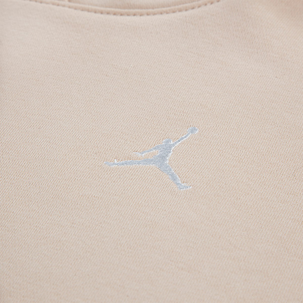 Jordan JDG WJ BRKN FT PO HOODIE 