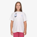 Jordan JDG DISTRESSED COLLIGIATE 