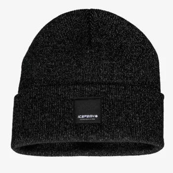 ICEPEAK Hanahan 