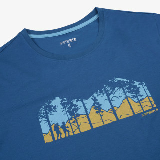 Icepeak Beeville 