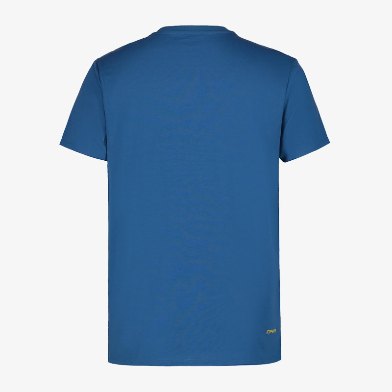 Icepeak Beeville 