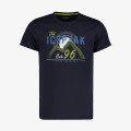 Icepeak Briarcliff 