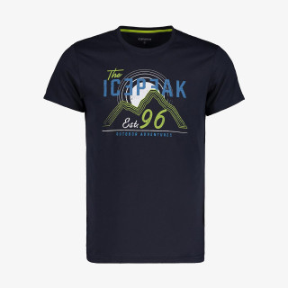 Icepeak Briarcliff 