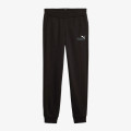 Puma ESS+ 2 COL LOGO PANTS 