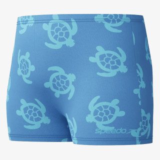 Speedo Print Aquashort 