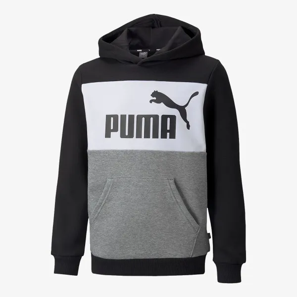 Puma ESS+ COLORBLOCK HOODIE 