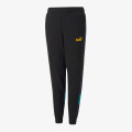 Puma ESS+ COLORBLOCK PANTS 