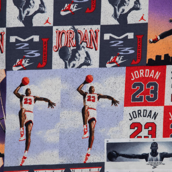 Jordan JDB POSTERIZED AIR SS TEE 