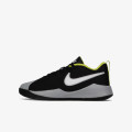 Nike Team Hustle Quick 2 