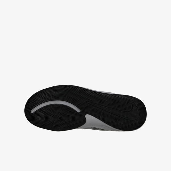 Nike Team Hustle Quick 2 