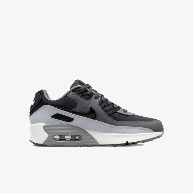 Nike Air Max 90 LTR 