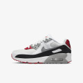 Nike NIKE AIR MAX 90 LTR GS 