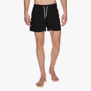 Champion Stripe 