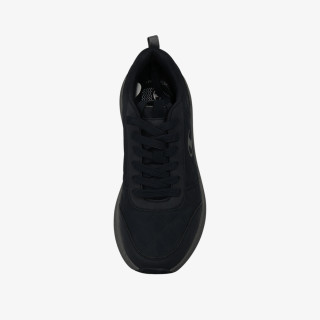 Champion Onyx 