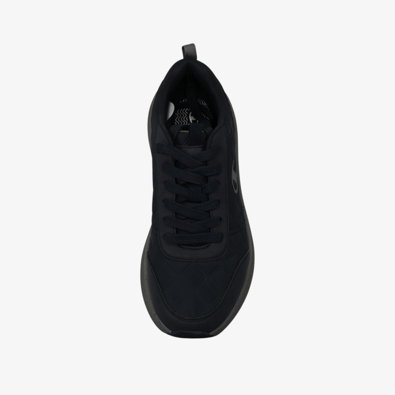 Champion Onyx 
