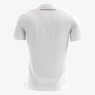 Nike M NK DF PARK20 SS TEE HBR 