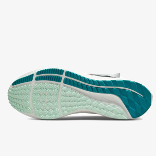 Nike Pegasus 