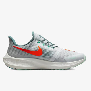 Nike Pegasus 