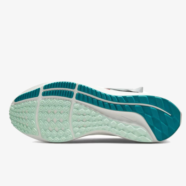 Nike Pegasus 