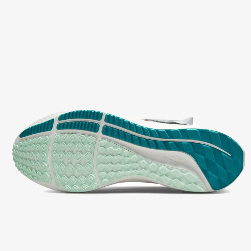 Nike Pegasus 