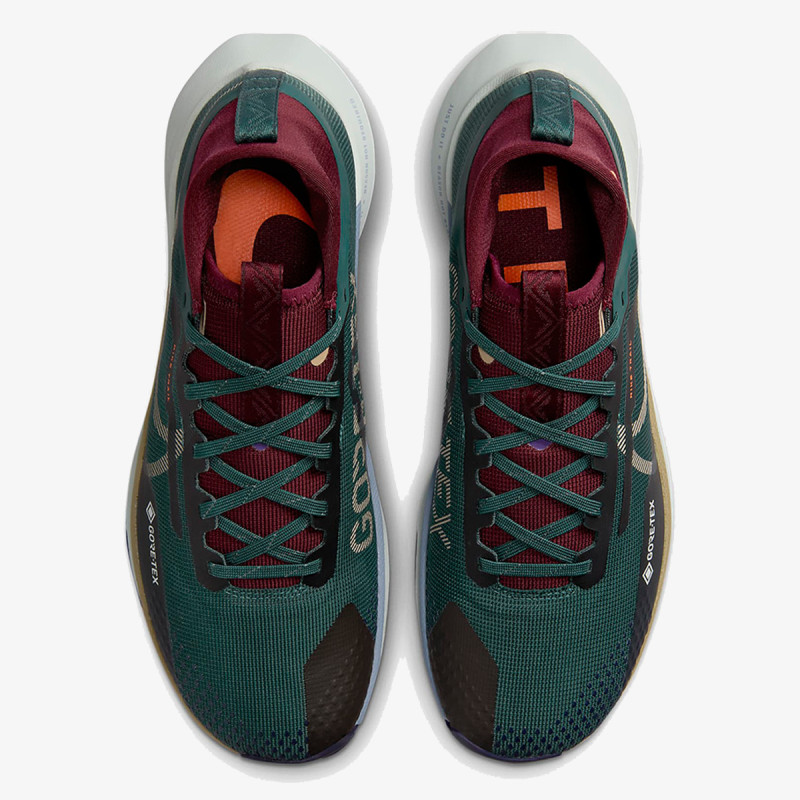 Nike Pegasus Trail 4 GORE-TEX 