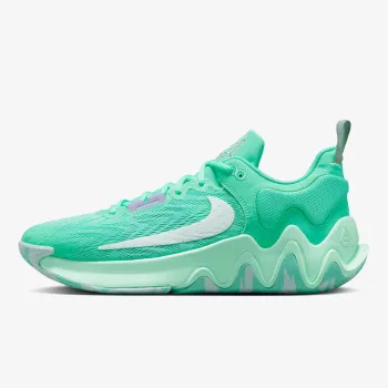 NIKE GIANNIS IMMORTALITY 2 DM0825-300