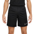 Nike Dri-FIT Academy 