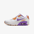 Nike Air Max 90 LTR 