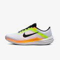 Nike Nike Winflo 10 