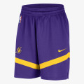 Nike Los Angeles Lakers Icon Practice 