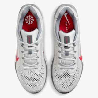 Nike AIR WINFLO 11 