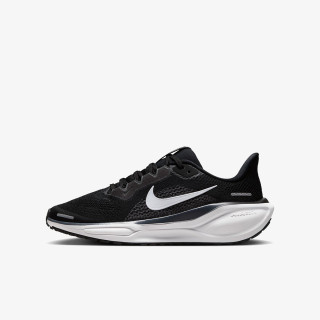 Nike Pegasus 41 