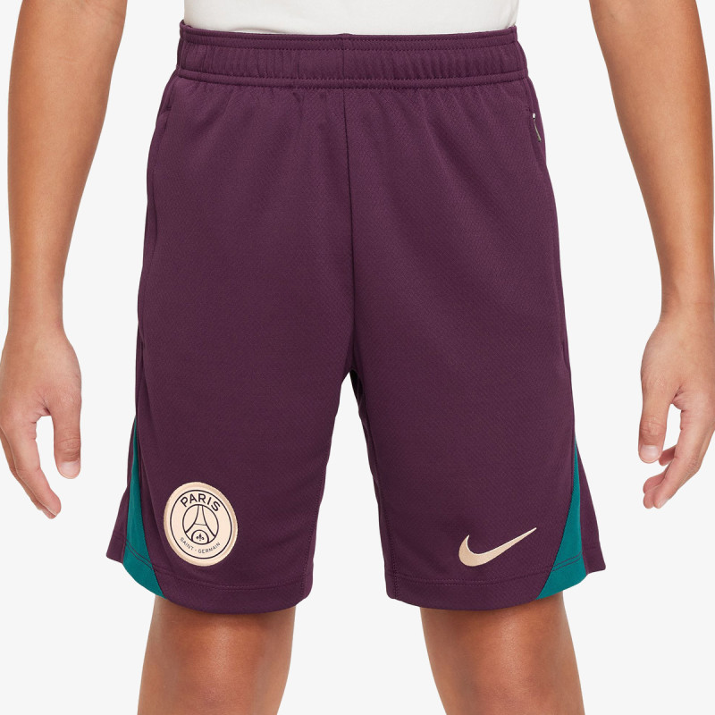 Nike Paris Saint-Germain 