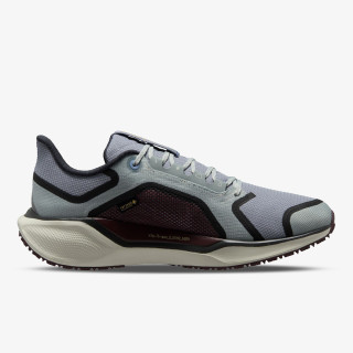Nike AIR ZM PEGASUS 41 GTX 