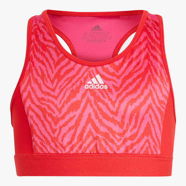 adidas Designed to Move 