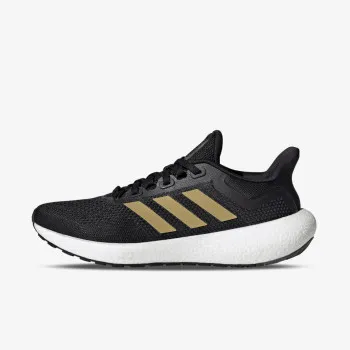 PUREBOOST JET W