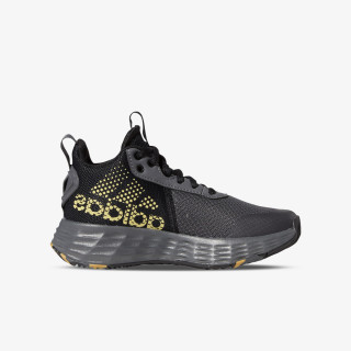 adidas Ownthegame 2.0 