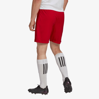 adidas Šortky Entrada 22 
