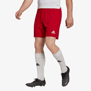 adidas Šortky Entrada 22 